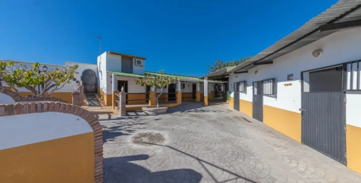 Sale of detached villa in El Padron 18