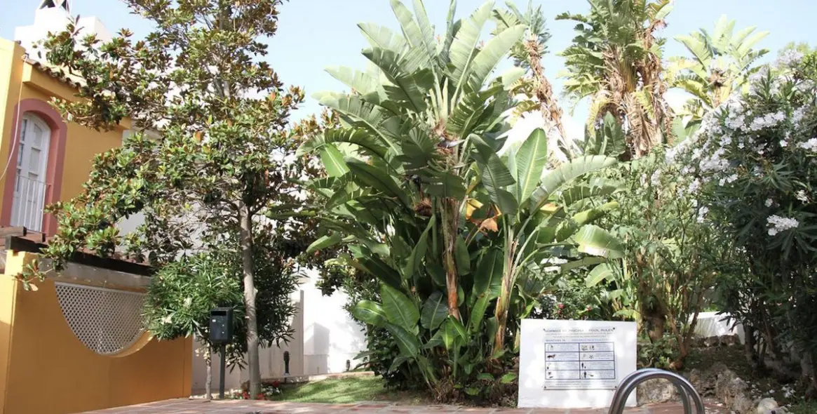 Продажа таунхауса в Nueva Andalucía 6