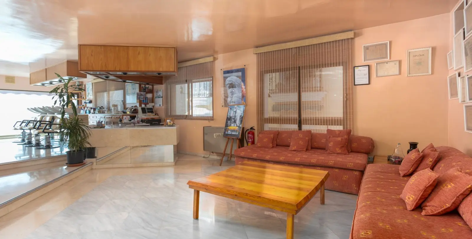 Venta de local comercial en San Pedro de Alcántara 11