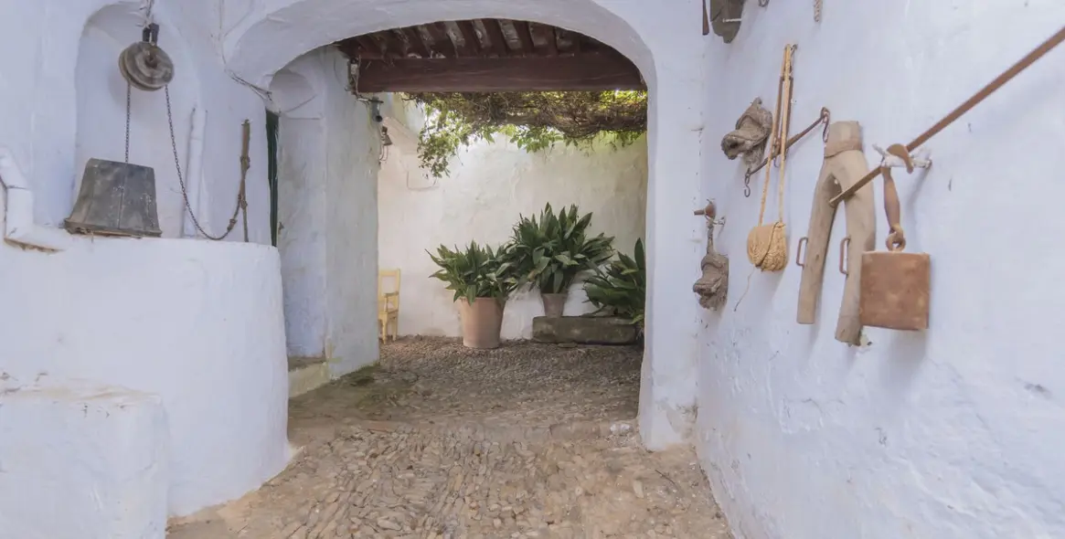 Sale of detached villa in Ronda 11