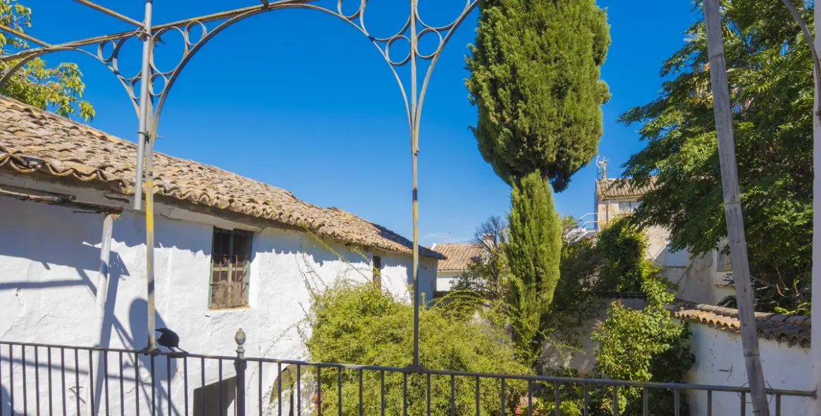 Sale of detached villa in Ronda 26