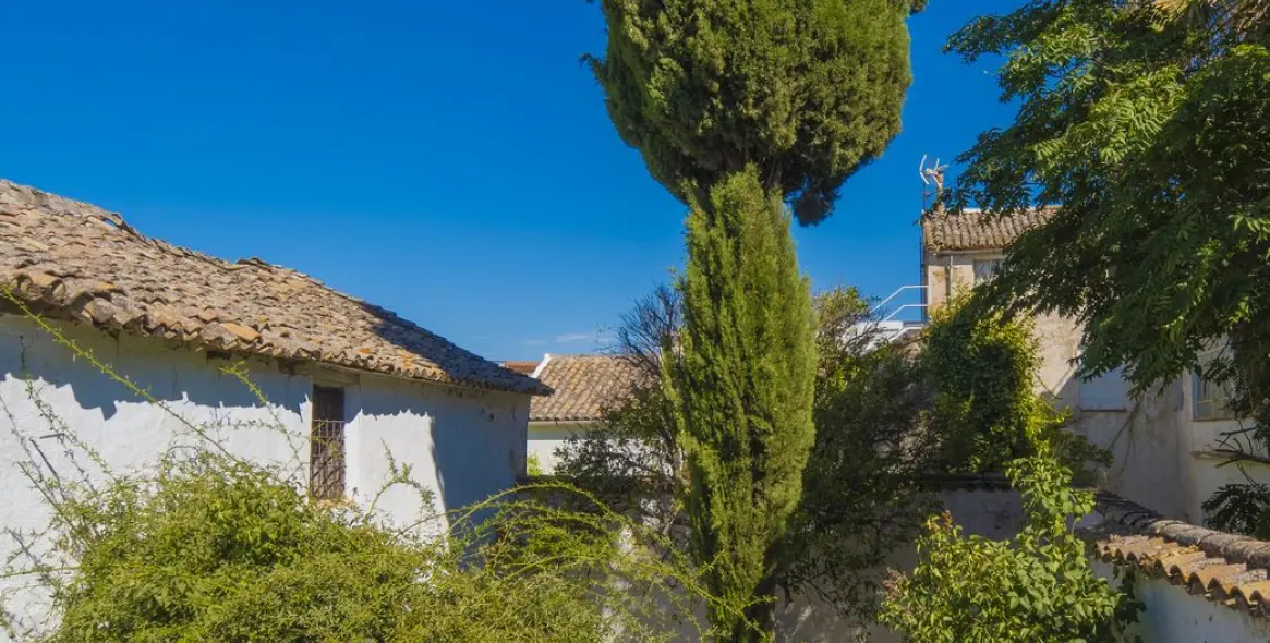 Sale of detached villa in Ronda 27
