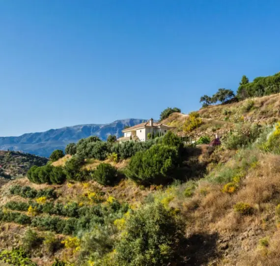 Продажа  отдельно стоящей виллы в Arenas