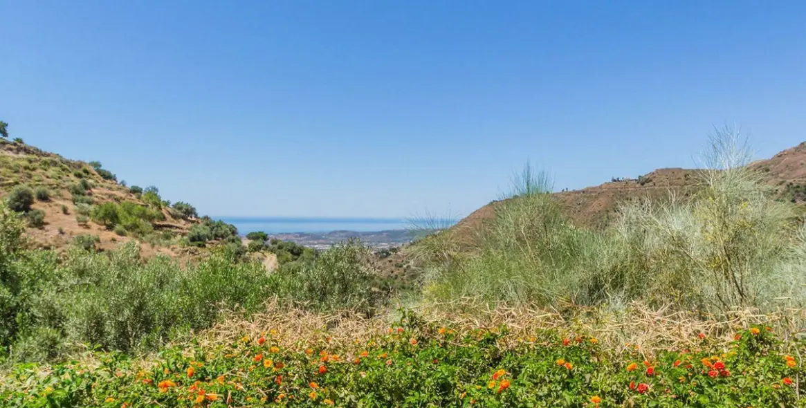 Sale of detached villa in Arenas 22