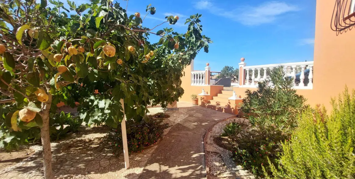 Продажа  отдельно стоящей виллы в Puerto de la Torre 50