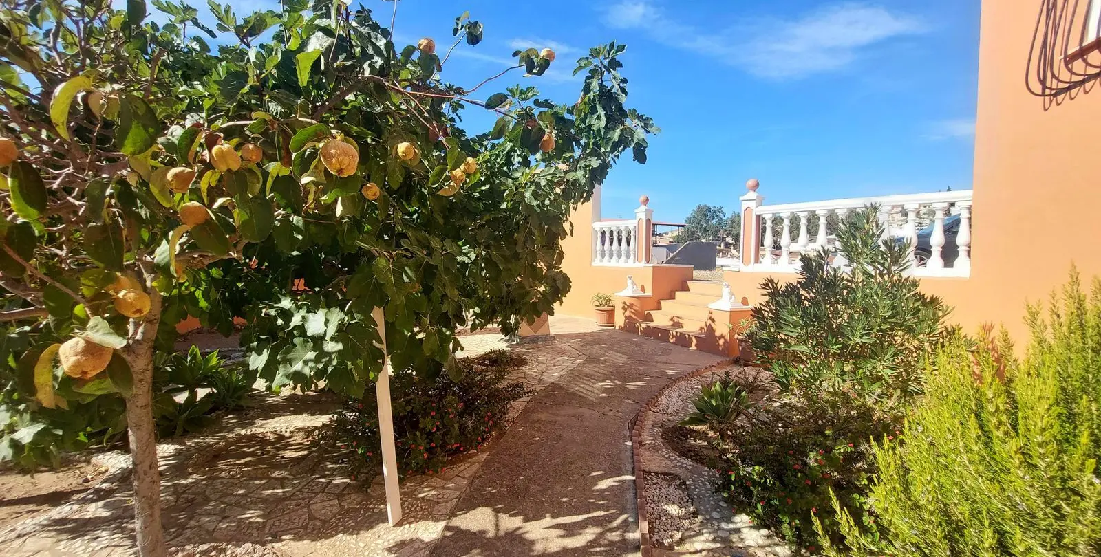 Sale of detached villa in Puerto de la Torre 39