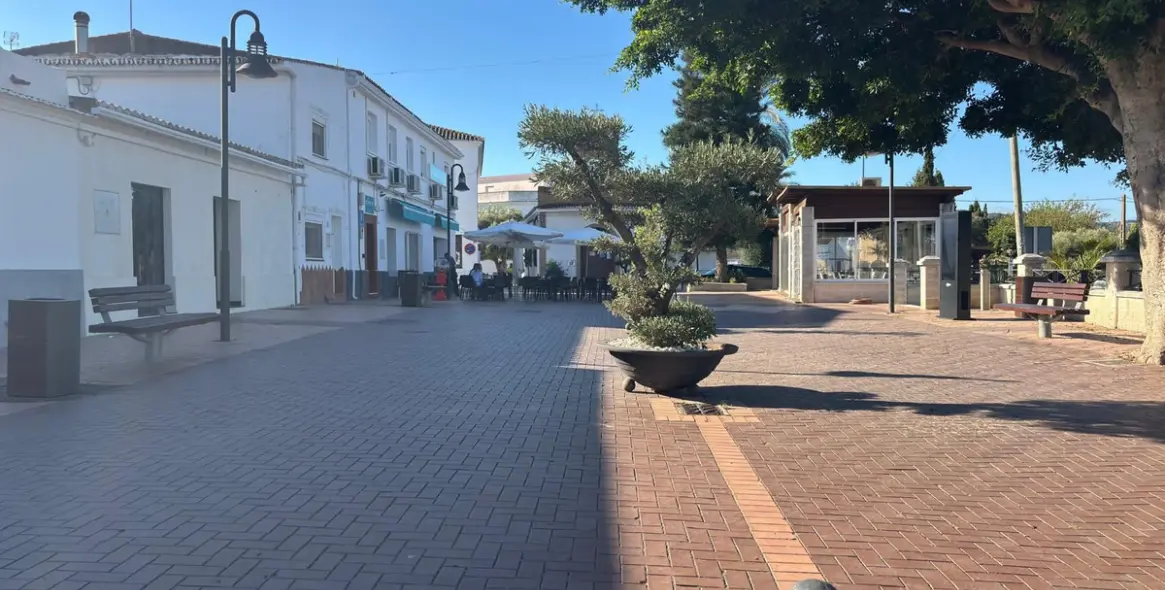 Sale of detached villa in Casares 29