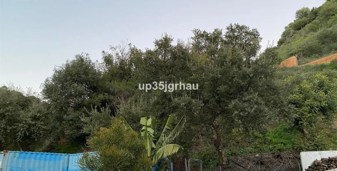 Продажа  отдельно стоящей виллы в Estepona 39