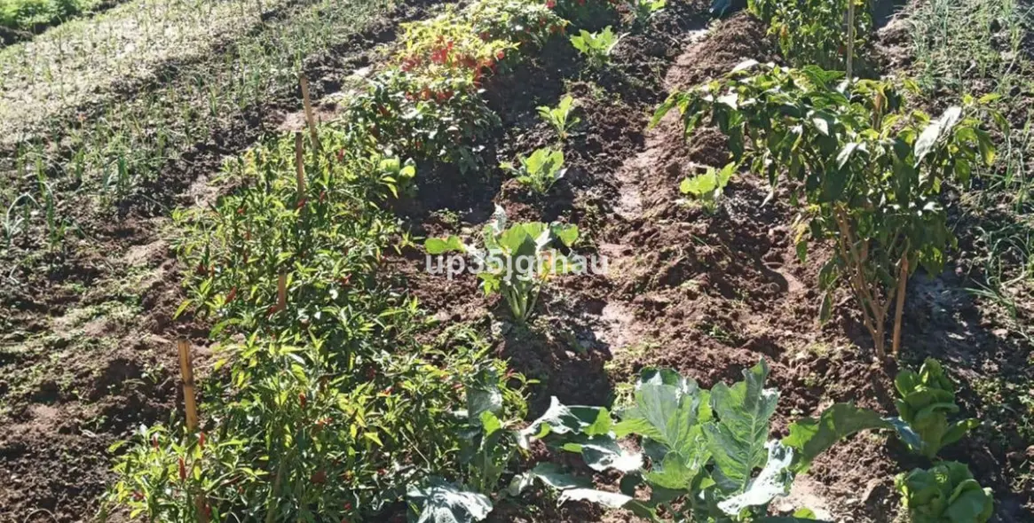 Продажа  отдельно стоящей виллы в Estepona 40