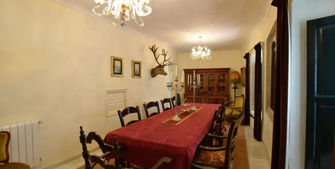 Sale of detached villa in Ronda 18