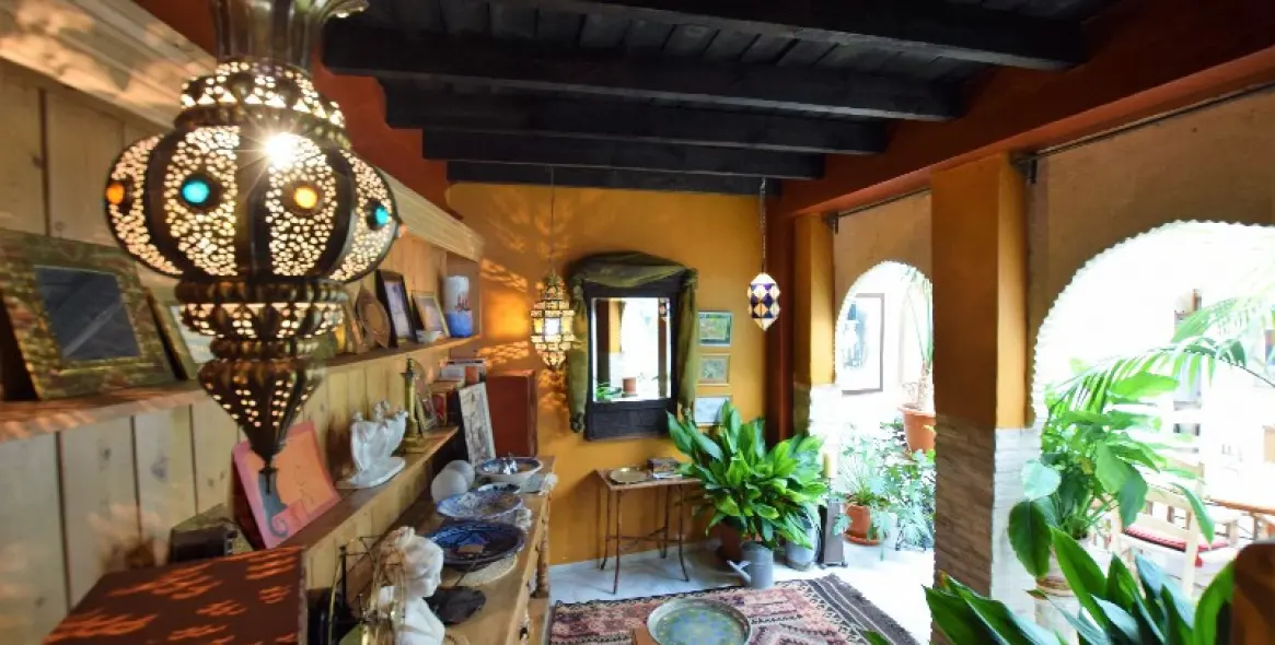 Sale of detached villa in Ronda 28