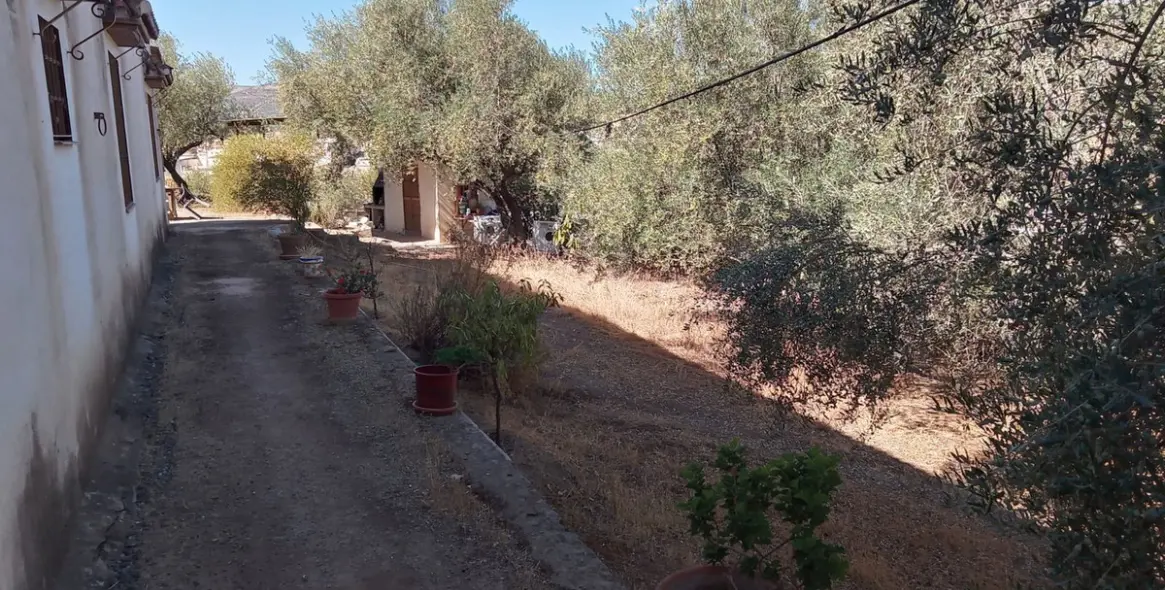 Sale of detached villa in Riogordo 49