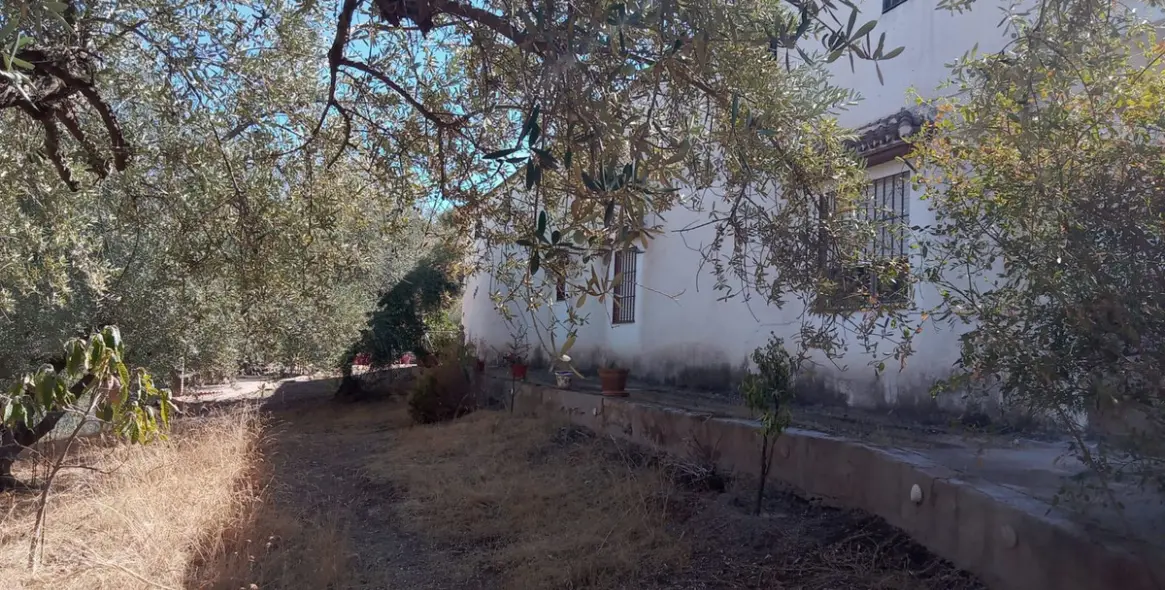 Sale of detached villa in Riogordo 55