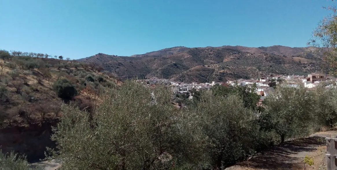 Sale of detached villa in Riogordo 64