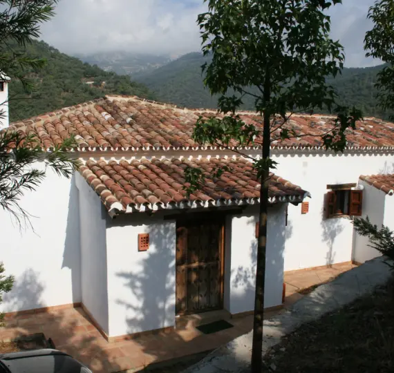 Sale of finca - cortijo in Jubrique