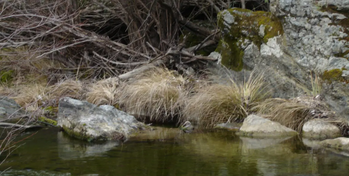 Sale of finca - cortijo in Jubrique 3