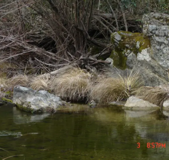 Sale of finca - cortijo in Jubrique