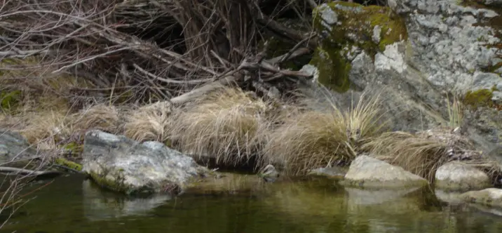 Sale of finca - cortijo in Jubrique 2