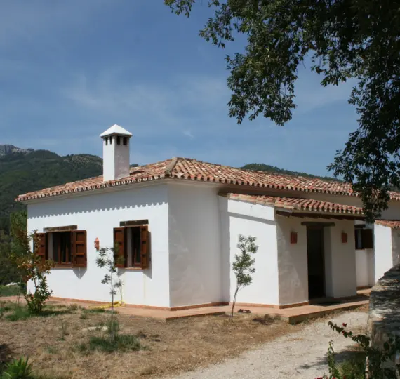 Sale of finca - cortijo in Jubrique
