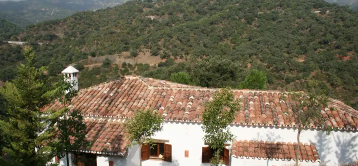 Sale of finca - cortijo in Jubrique 4