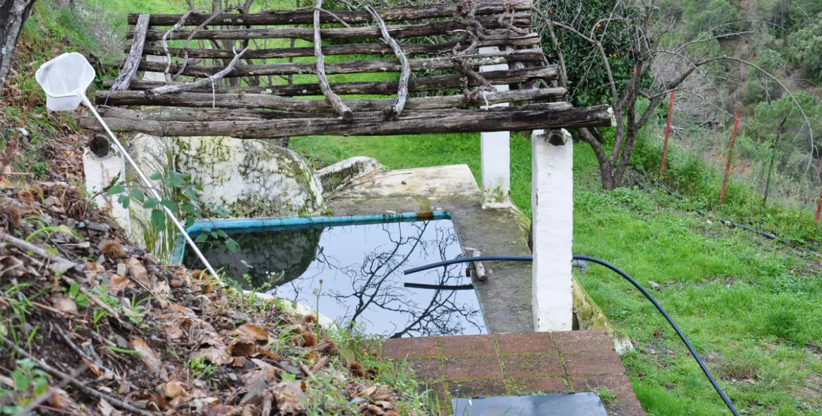 Sale of finca - cortijo in Jubrique 19
