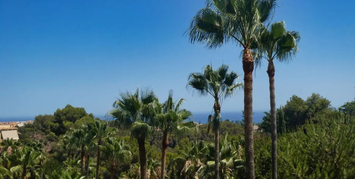 Sale of ground floor apartment in Sierra Blanca 17