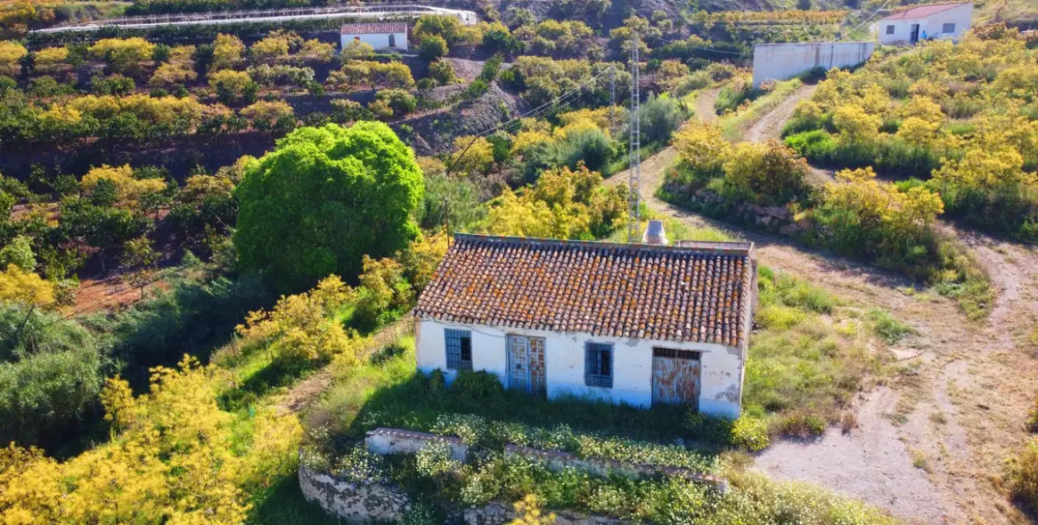 Продажа финки в Algarrobo 2