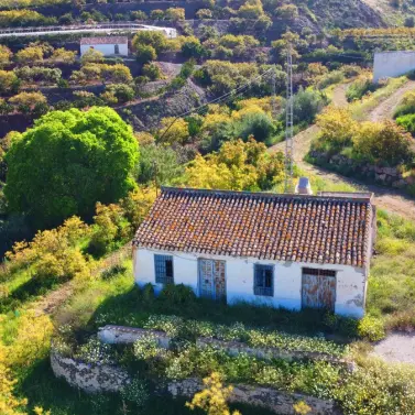 Продажа финки в Algarrobo