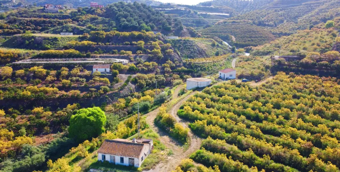 Продажа финки в Algarrobo 20
