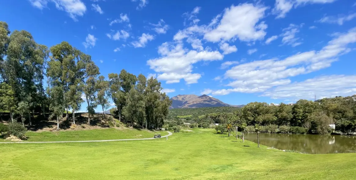 Продажа пентхауса в Estepona 28