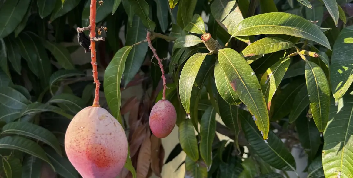 Sale of ground floor apartment in Altos de los Monteros 34