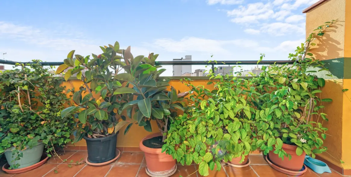 Venta de ático dúplex en Málaga 4