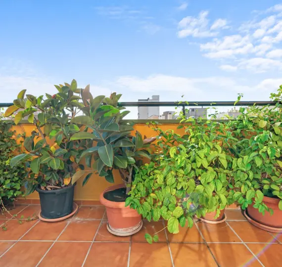 Venta de ático dúplex en Málaga