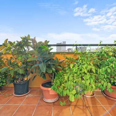 Venta de ático dúplex en Málaga