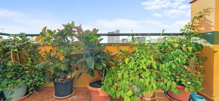 Venta de ático dúplex en Málaga 3