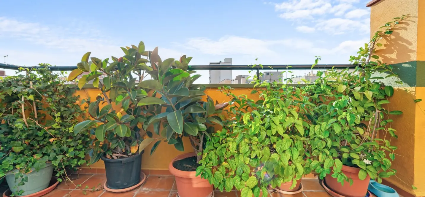 Venta de ático dúplex en Málaga 3