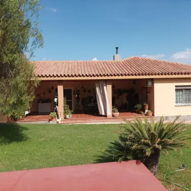 Venta de finca - cortijo en Alhaurín el Grande