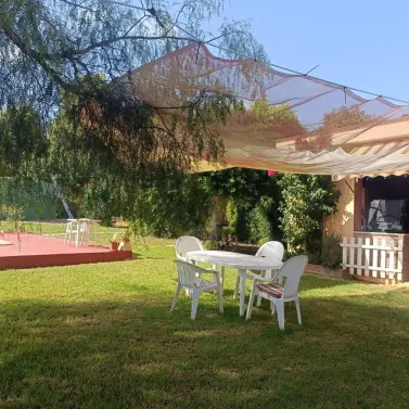 Venta de finca - cortijo en Alhaurín el Grande