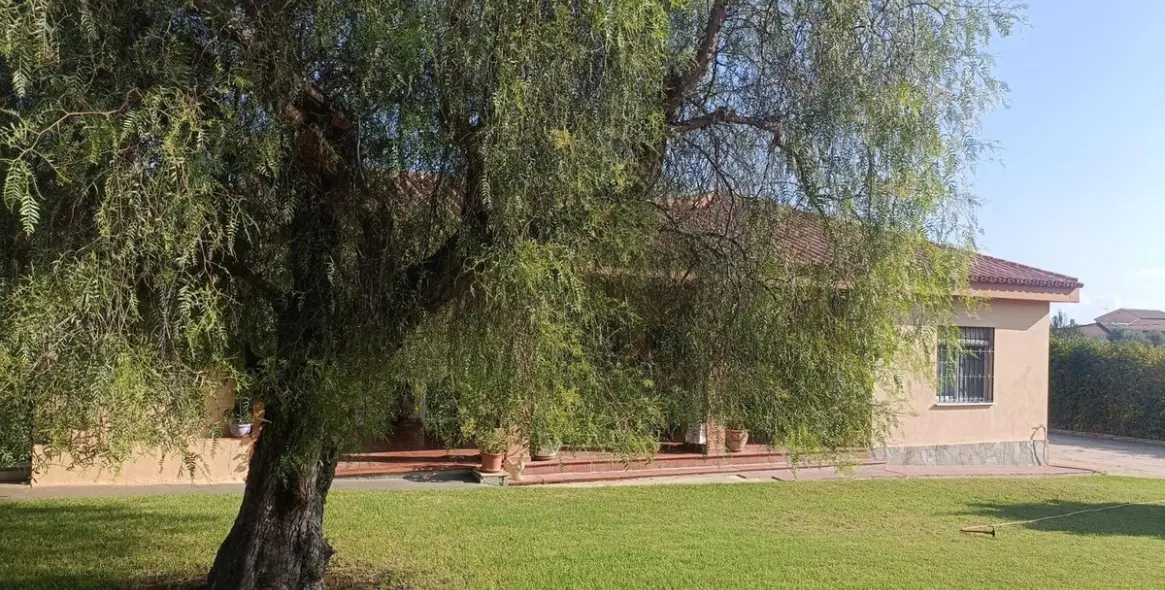 Sale of finca - cortijo in Alhaurín el Grande 16