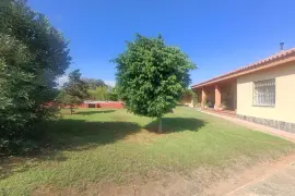 Image 35 thumb