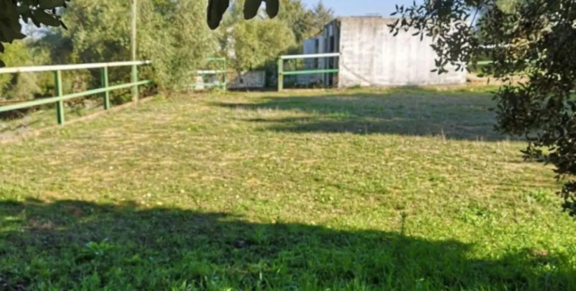 Sale of finca - cortijo in Ronda 16