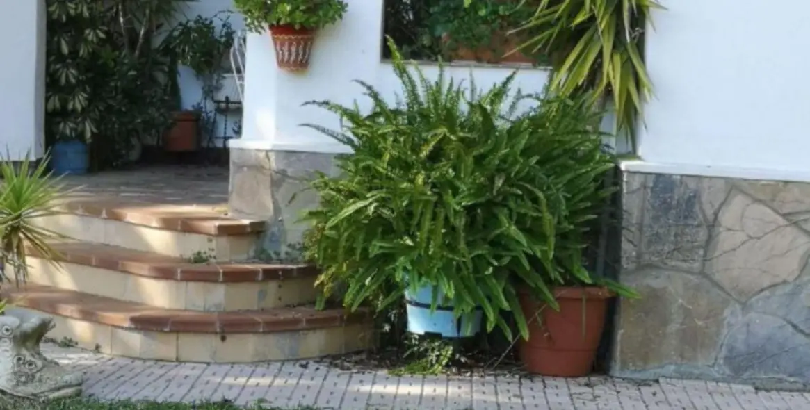 Sale of finca - cortijo in Ronda 21