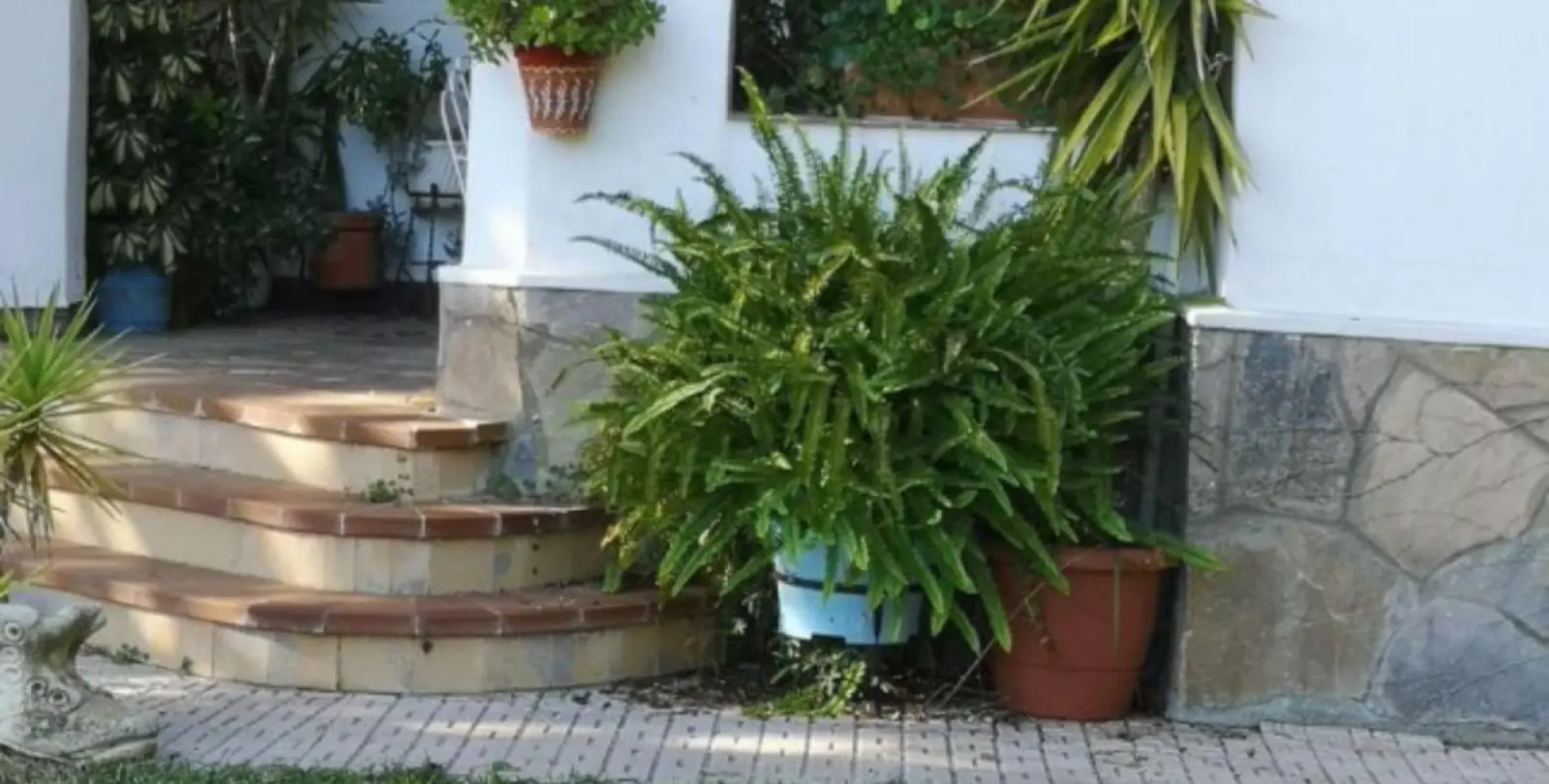 Sale of finca - cortijo in Ronda 21