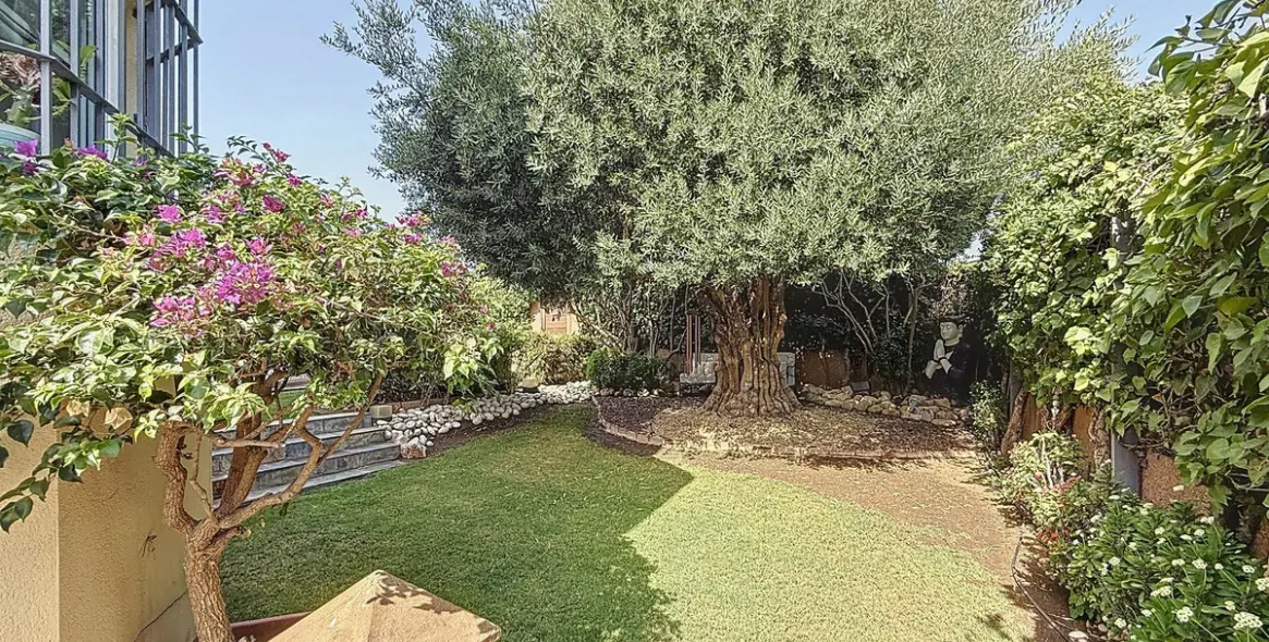 Sale of detached villa in Torre del Mar 7