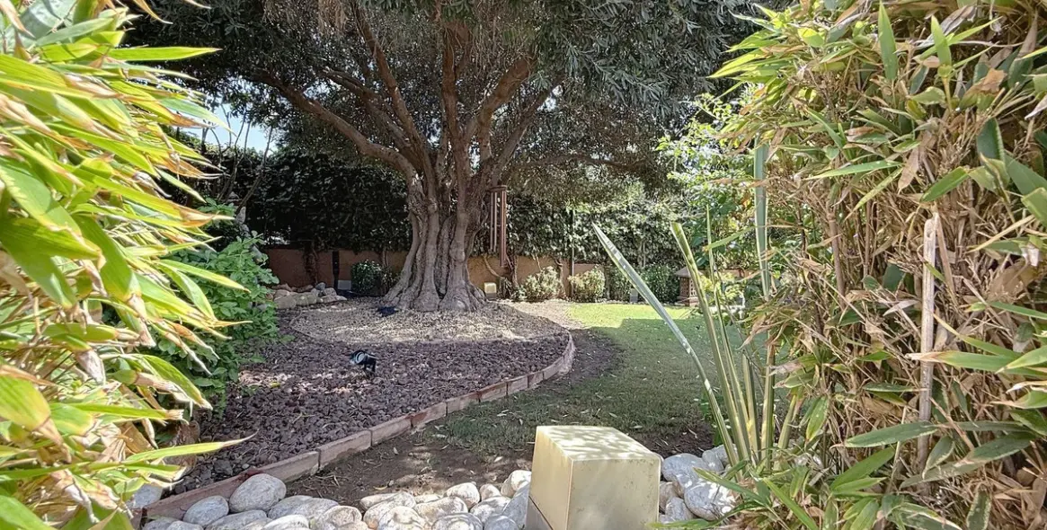 Sale of detached villa in Torre del Mar 12