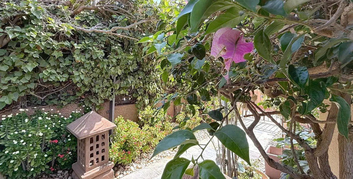 Sale of detached villa in Torre del Mar 17