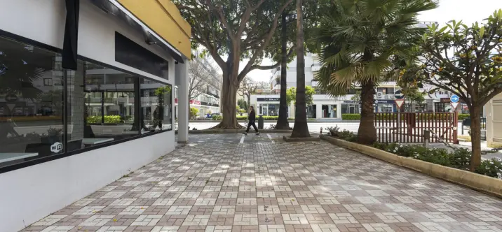 Sale of café in Marbella 2