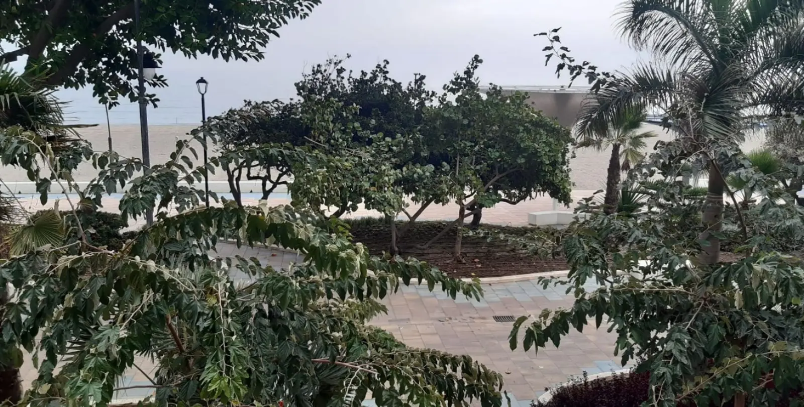 Sale of middle floor apartment in Estepona 25