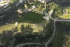 Image 9 thumb