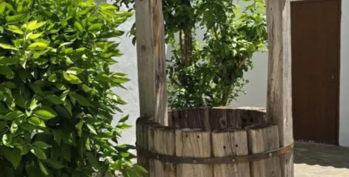 Продажа дома на две семьи в Marbella 15